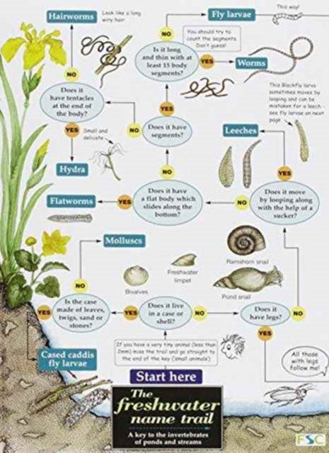 The Freshwater name trail-9781851538393
