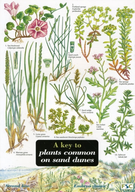 Key to Plants Common on Sand Dunes : No. 43-9781851538430