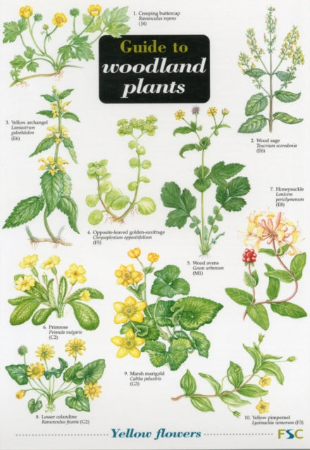 Guide to Woodland Plants : No. 50-9781851538607