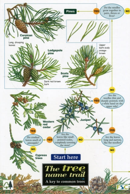 Tree Name Trail : A Key to Common Trees : No. 510-9781851538614