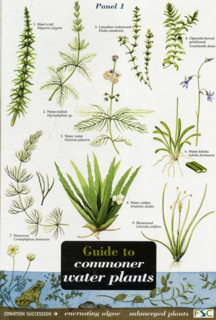 Guide to Commoner Water Plants : No. 57-9781851538676