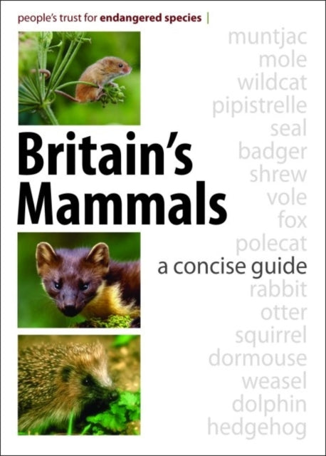 Britain's Mammals : A Concise Guide-9781873580813
