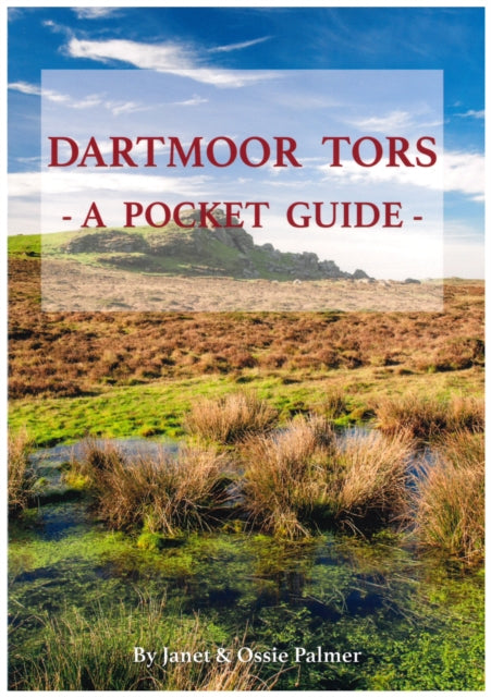 Dartmoor Tors : A Pocket Guide-9781898964841