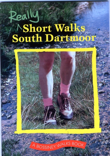 Really Short Walks South Dartmoor-9781899383849