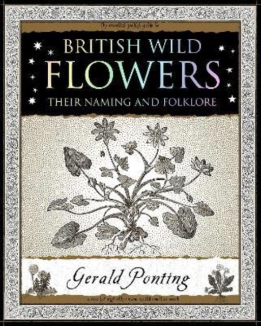 British Wild Flowers : Their Naming and Folklore-9781907155420