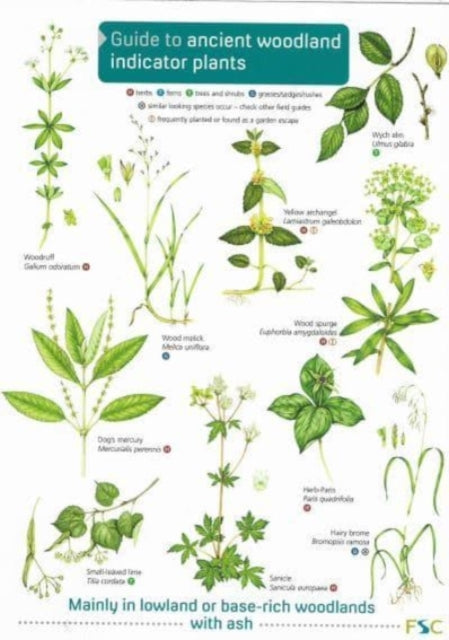 Guide to Ancient Woodland Indicator Plants-9781908819277