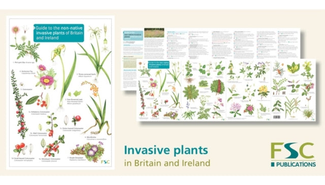 Guide to the non-native invasive plants of Britain and Ireland: 2019 - Rebecca Farley-Brown