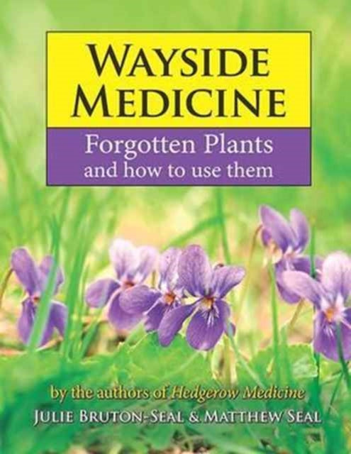 Wayside Medicine : Forgotten Plants and how to use them-9781910723357