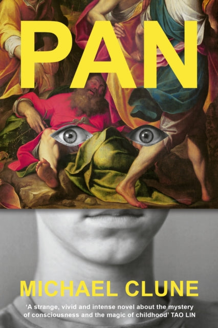 Pan-9781911717614