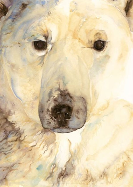 Jackie Morris Poster: Ice Bear Poster, The-9781912213597
