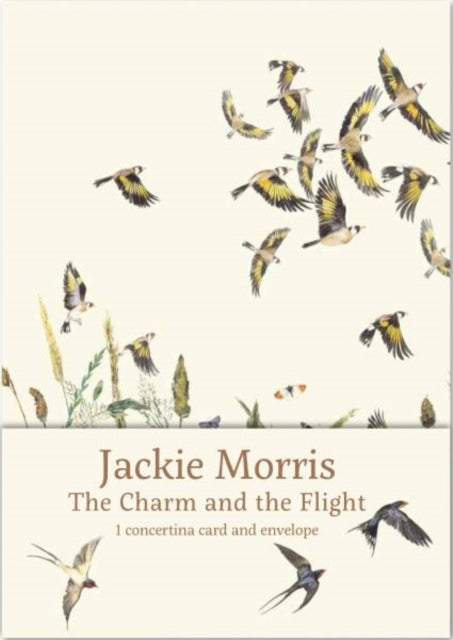 Charm and the Flight Concertina Card, The-9781912213849