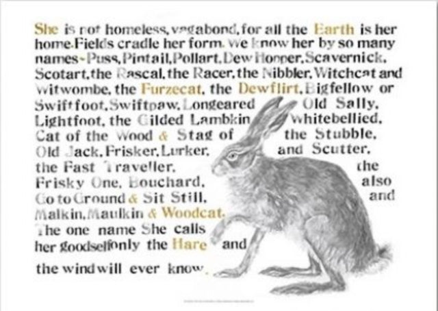 Jackie Morris Poster: Names of the Hare, The-9781912654499