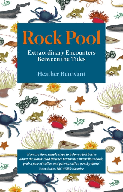 Rock Pool: Extraordinary Encounters Between the Tides: A Life -Long Fascination told in Twenty-Four Creatures - Heather Buttivant