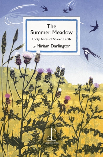 The Summer Meadow : Forty Acres of Shared Earth-9781913627423