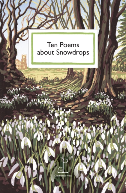 Ten Poems about Snowdrops-9781913627485