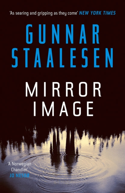 Mirror Image : The present mirrors the past in a chilling Varg Veum thriller : 11-9781914585944