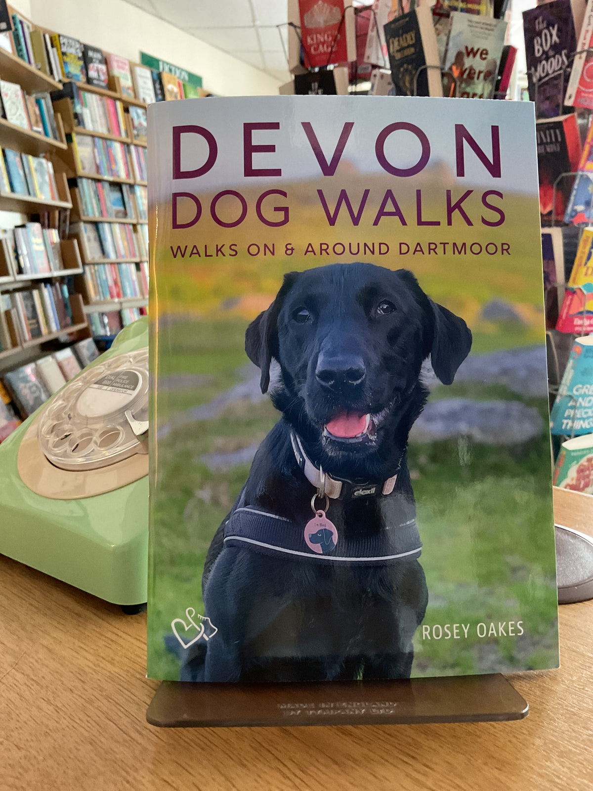 Devon Dog Walks on and around Dartmoor by Rosey Oakes