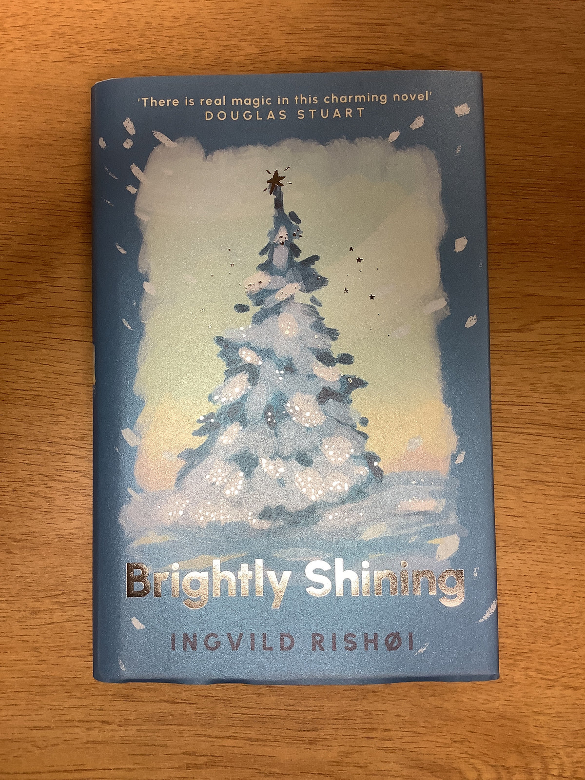 Brightly Shining by Ingvild Rishøi