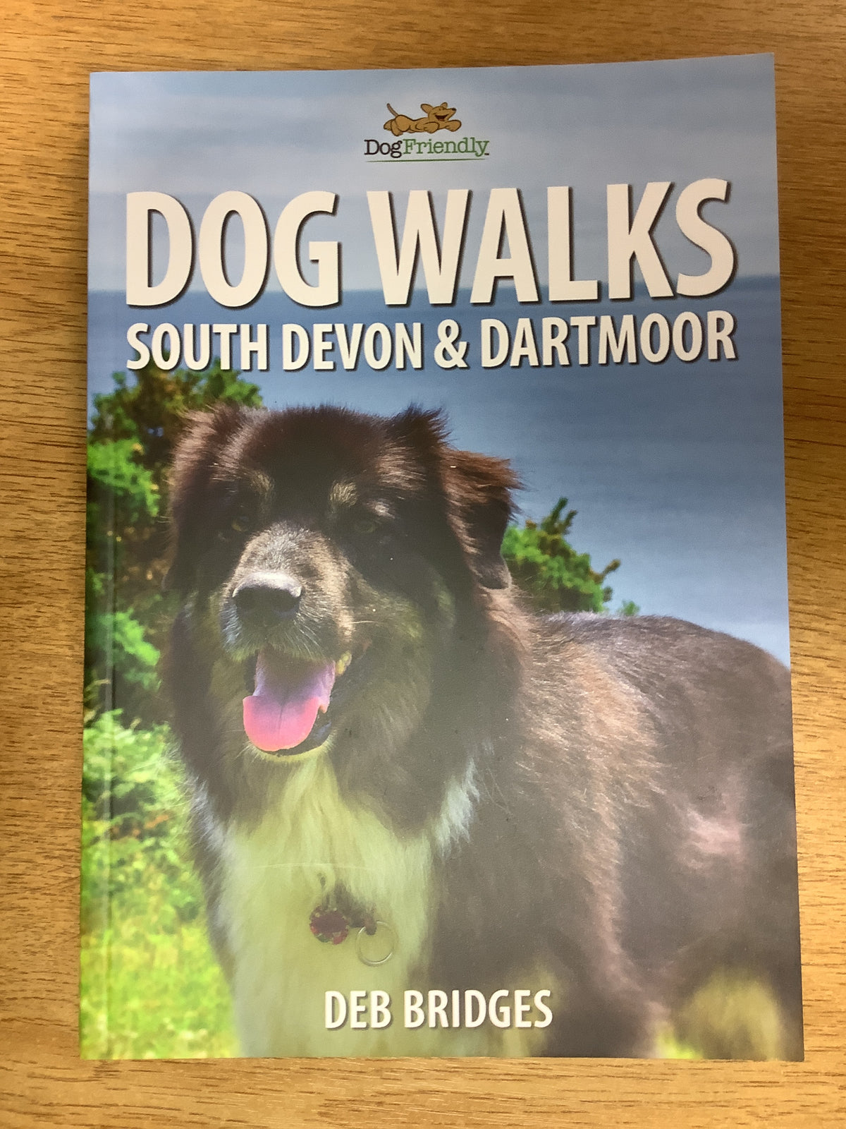 Dog Walks - South Devon and Dartmoor