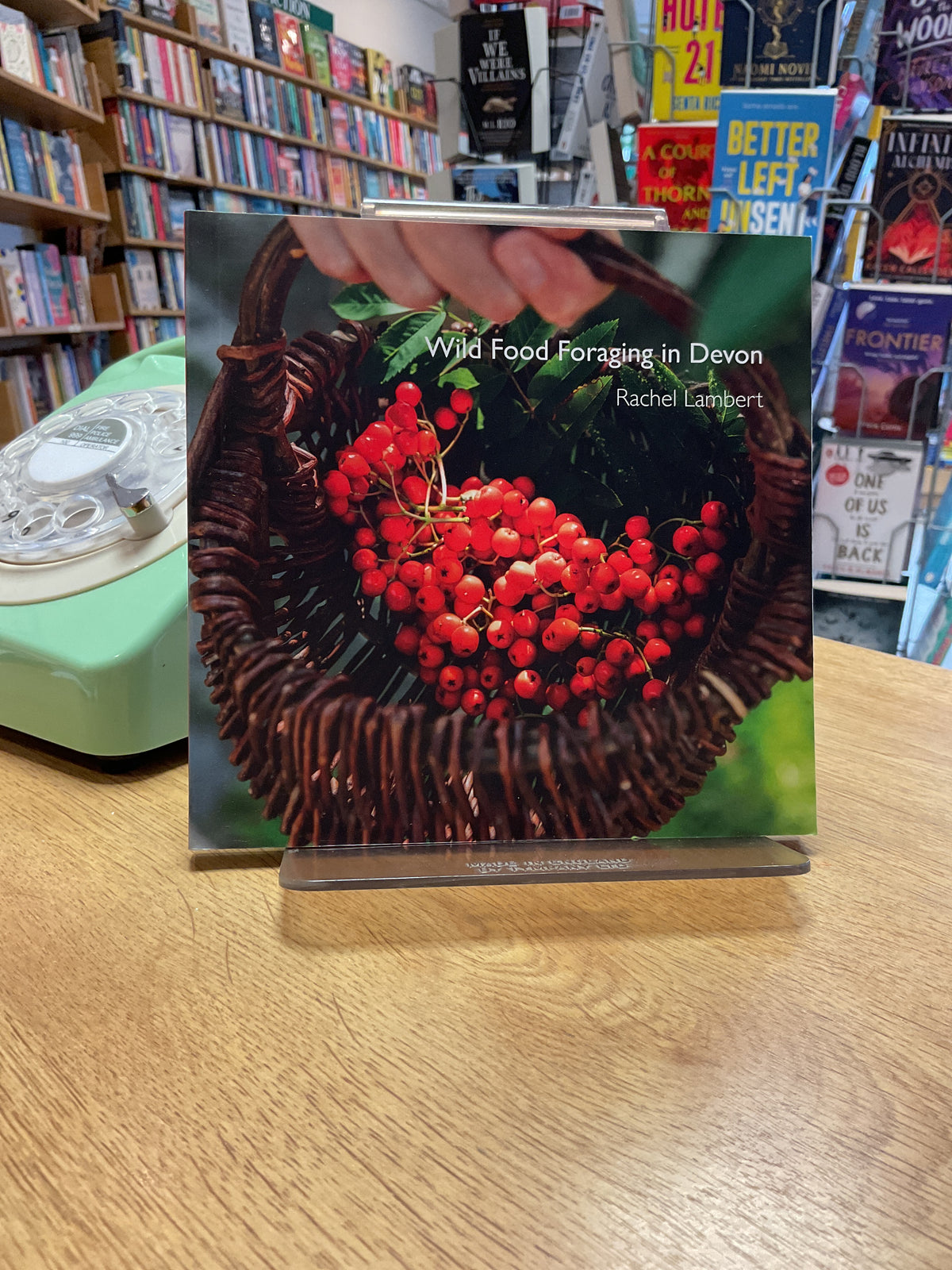 Wild Food Foraging in Devon by Rachel Lambert