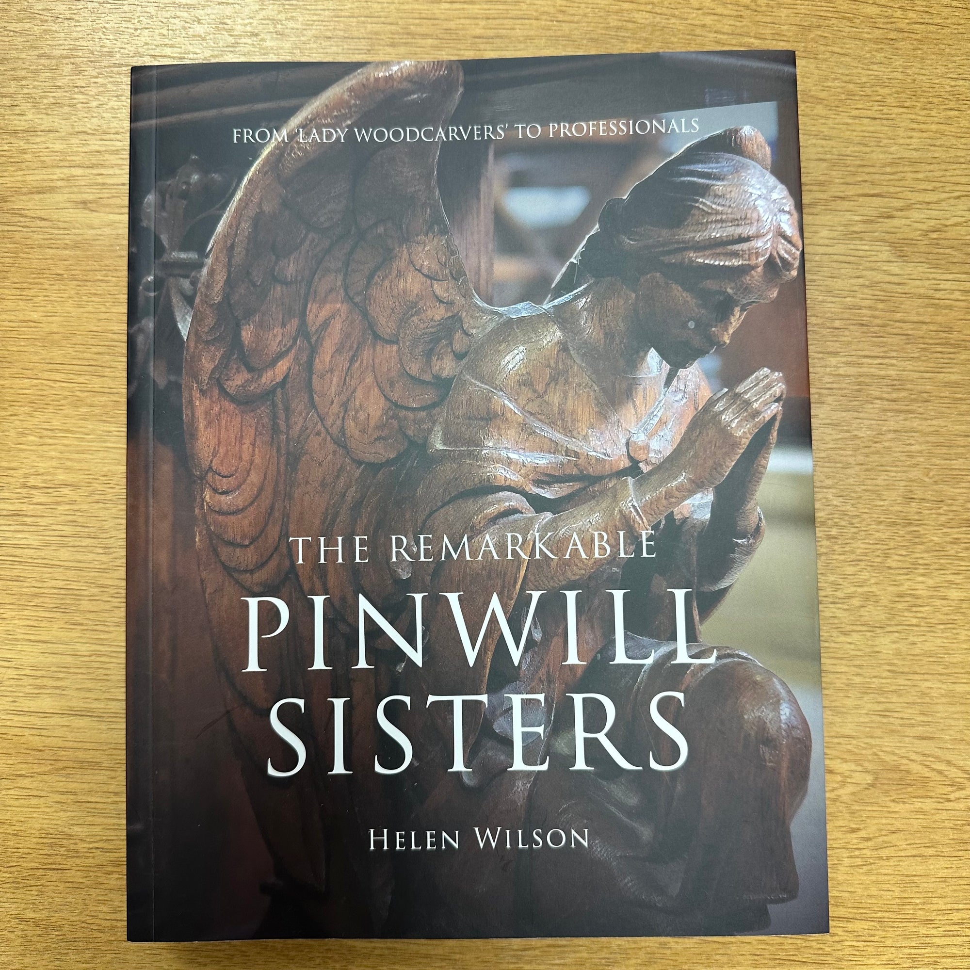 The Remarkable Pinwill Sisters by Helen Wilson at the Harbour Bookshop in Kingsbridge Devon
